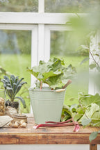 Spann fra Ib Laursen- grønn