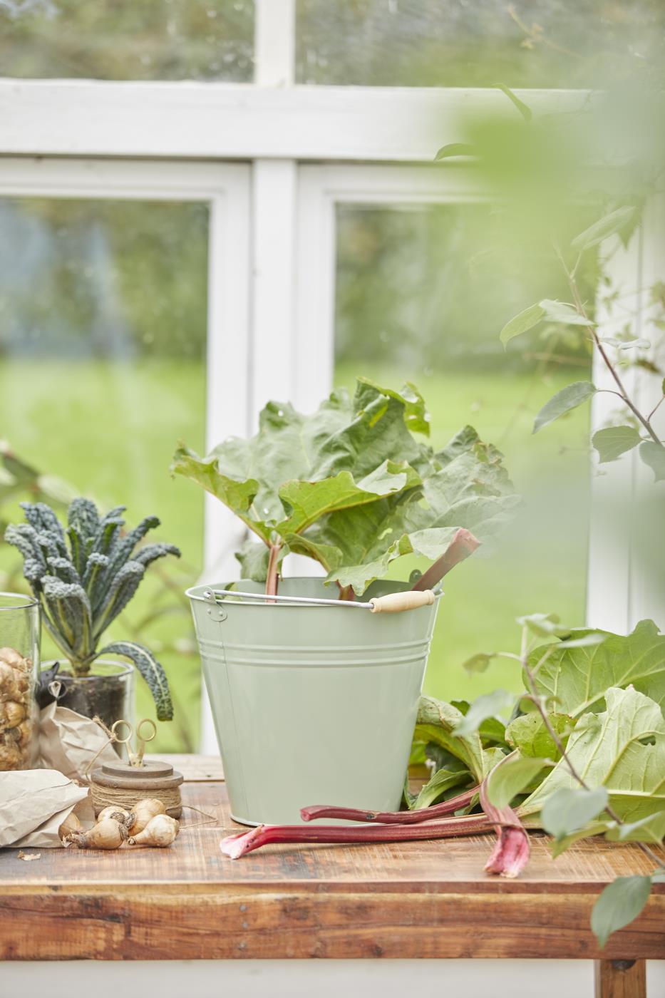 Spann fra Ib Laursen- grønn