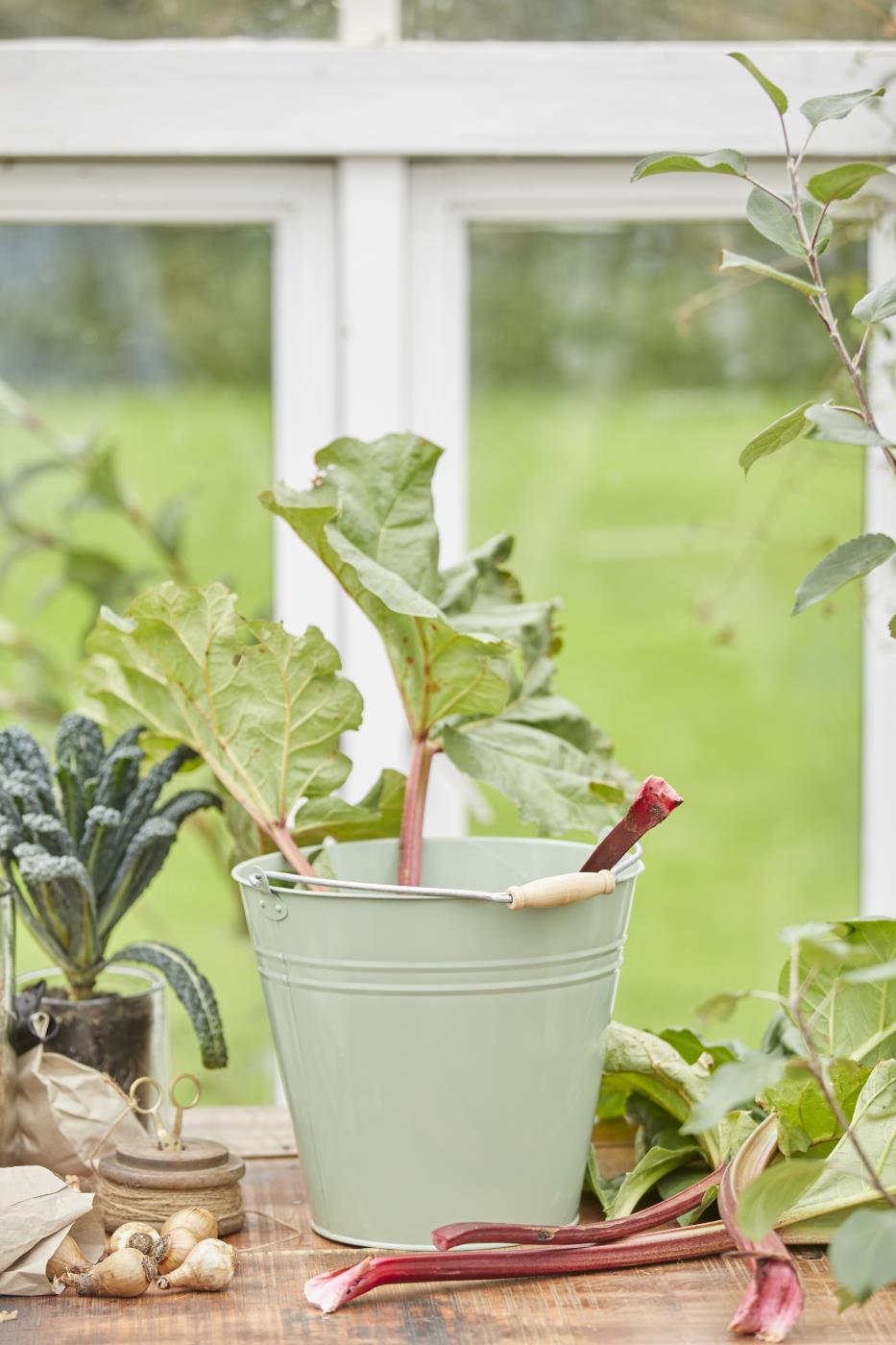 Spann fra Ib Laursen- grønn