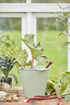 Spann fra Ib Laursen- grønn