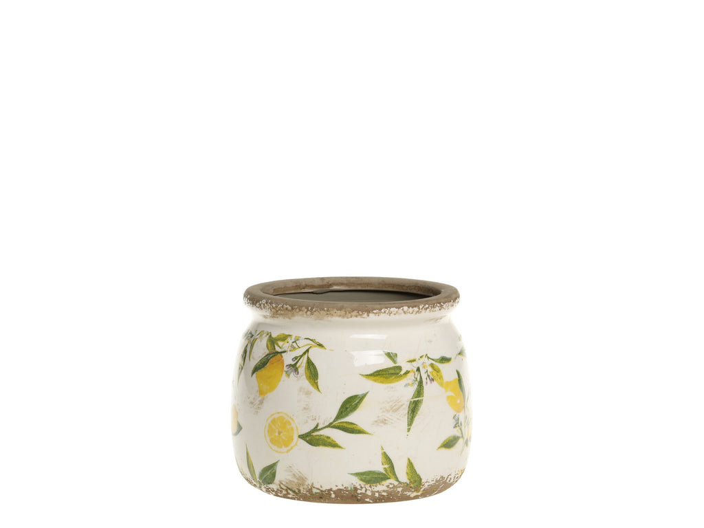 Potte med sitronmønster - to varianter