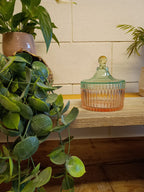 Bonbonniere glasskrukker- to størrelser