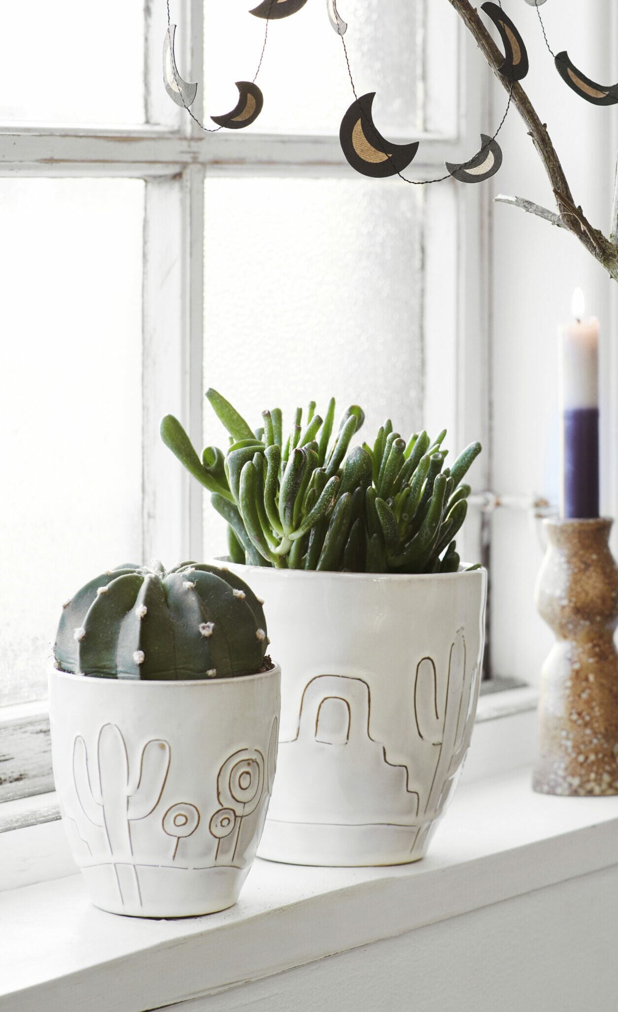 Potte med kaktusmønster- tre størrelser